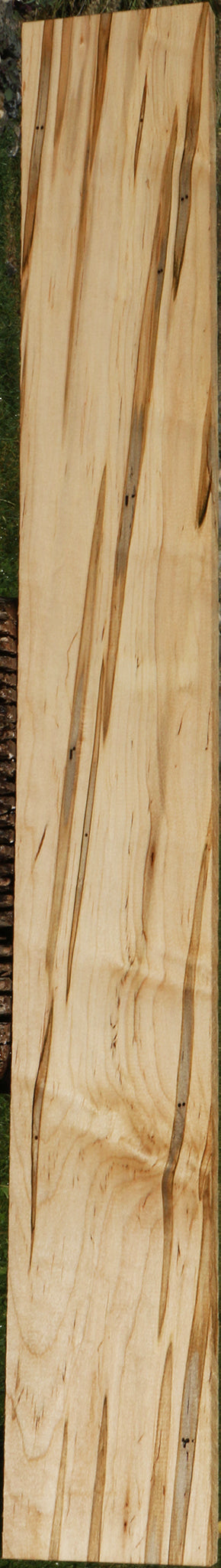 Figured Ambrosia Maple Lumber