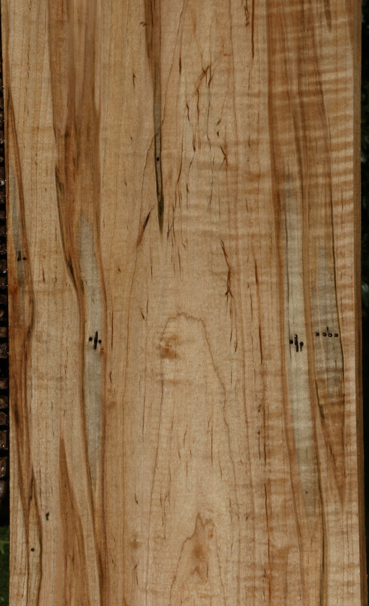 Extra Fancy Ambrosia Maple Lumber