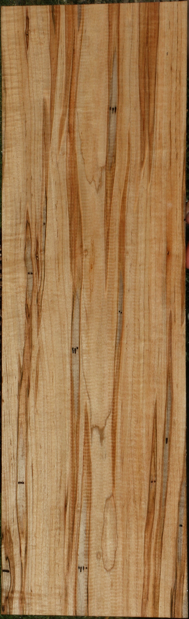 Extra Fancy Ambrosia Maple Lumber