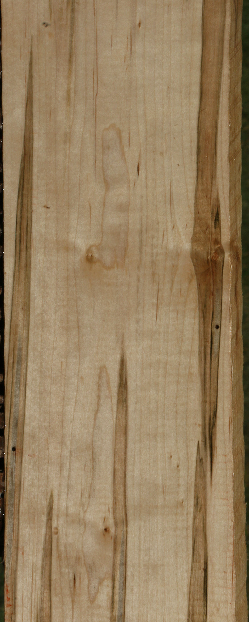 Figured Ambrosia Maple Lumber