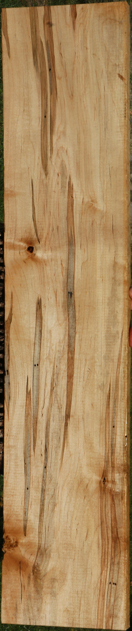 Figured Ambrosia Maple Lumber