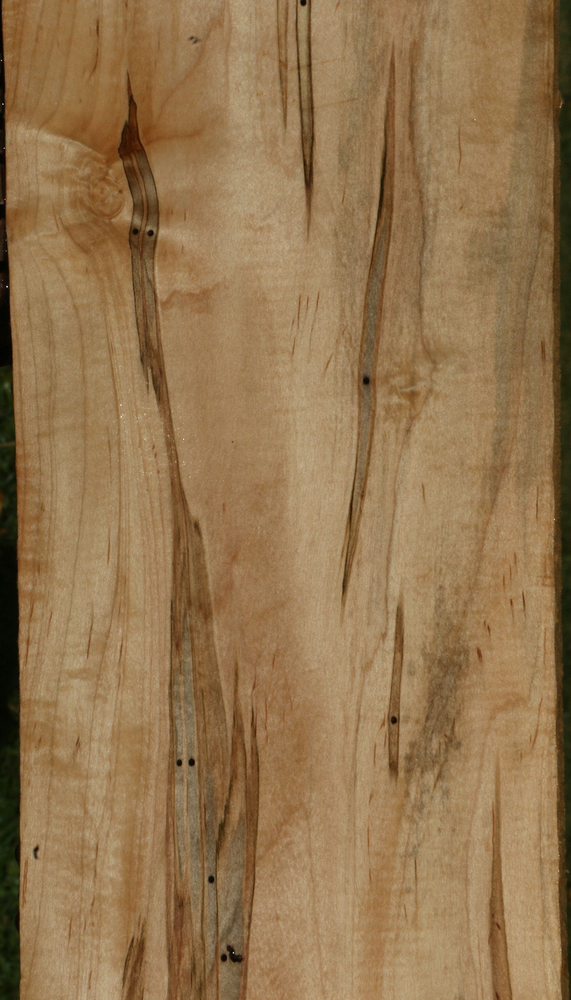 Figured Ambrosia Maple Lumber