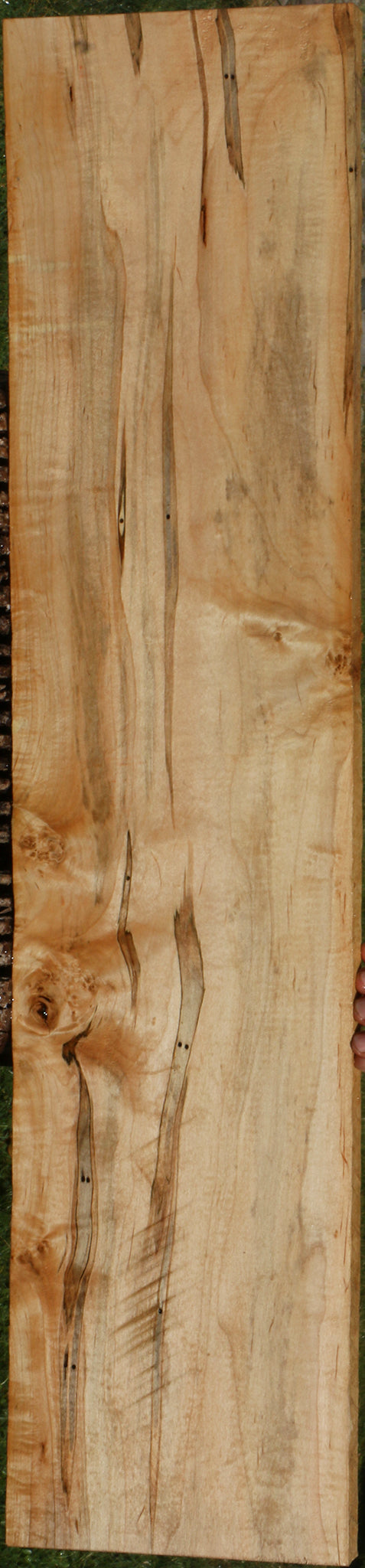 Ambrosia Maple Lumber