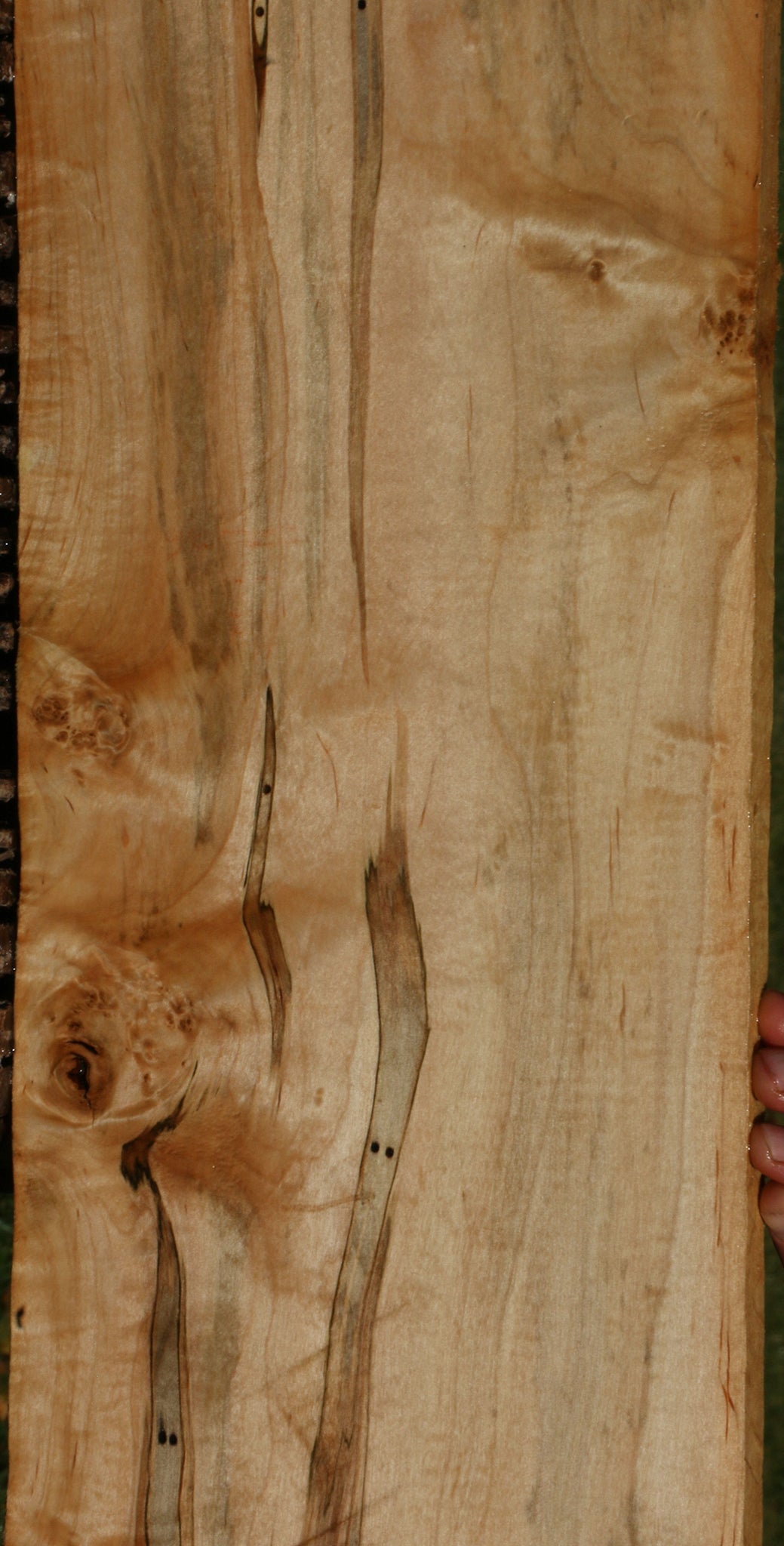 Ambrosia Maple Lumber