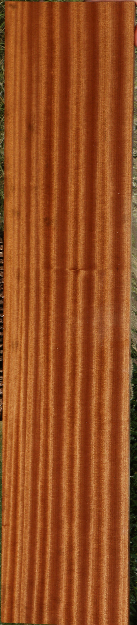 Ribbon Figured Sapele Lumber