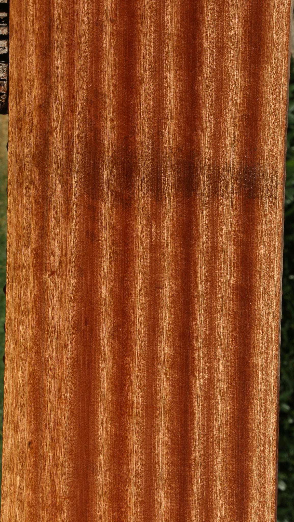 Ribbon Figured Sapele Lumber