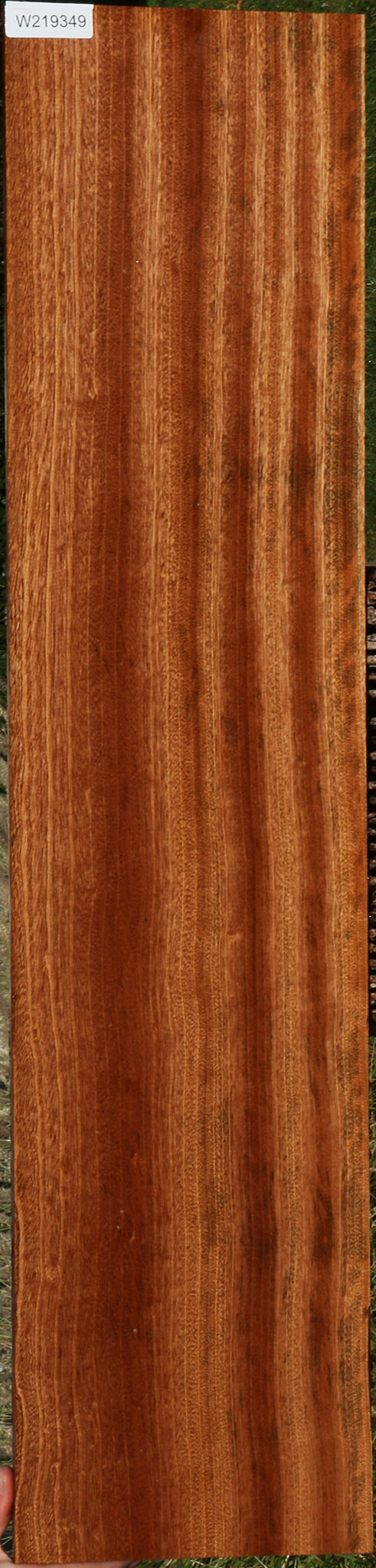 Ribbon Figured Sapele Lumber