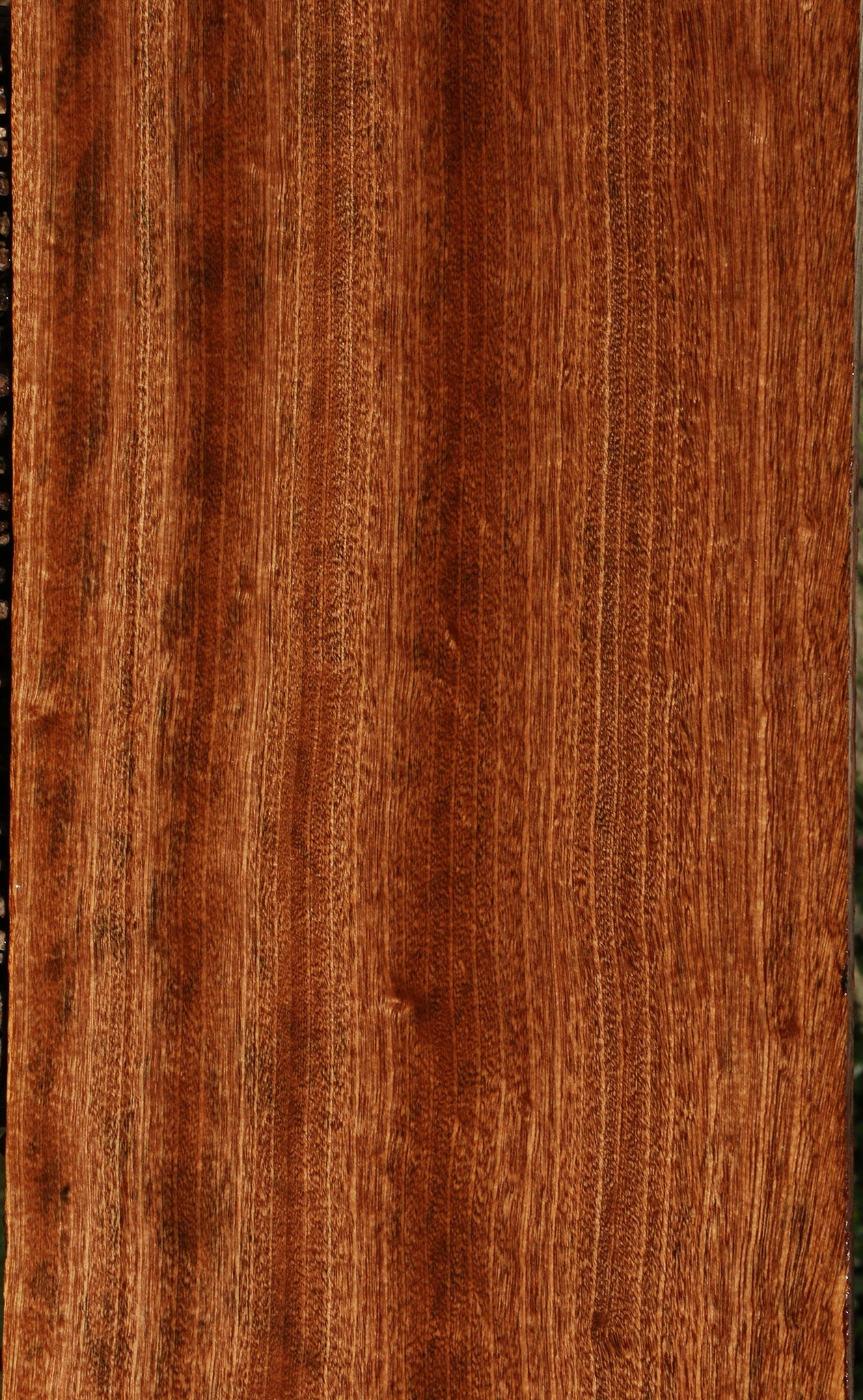 Ribbon Figured Sapele Lumber