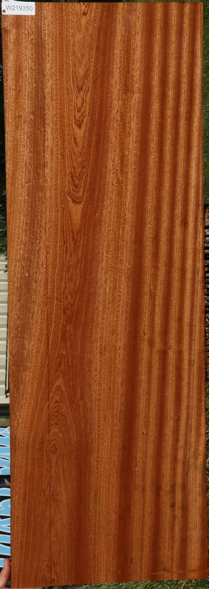 Ribbon Figured Sapele Lumber