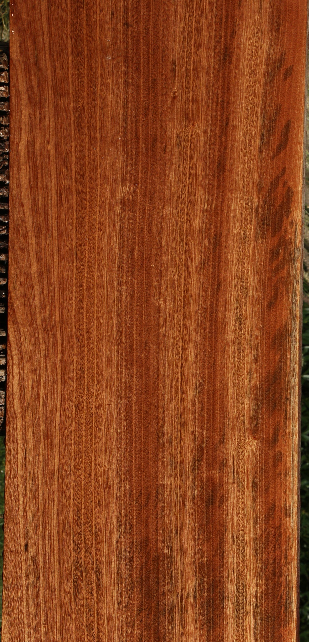 Ribbon Figured Sapele Lumber