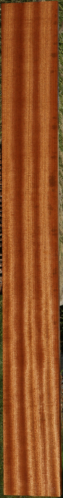 Ribbon Figured Sapele Lumber