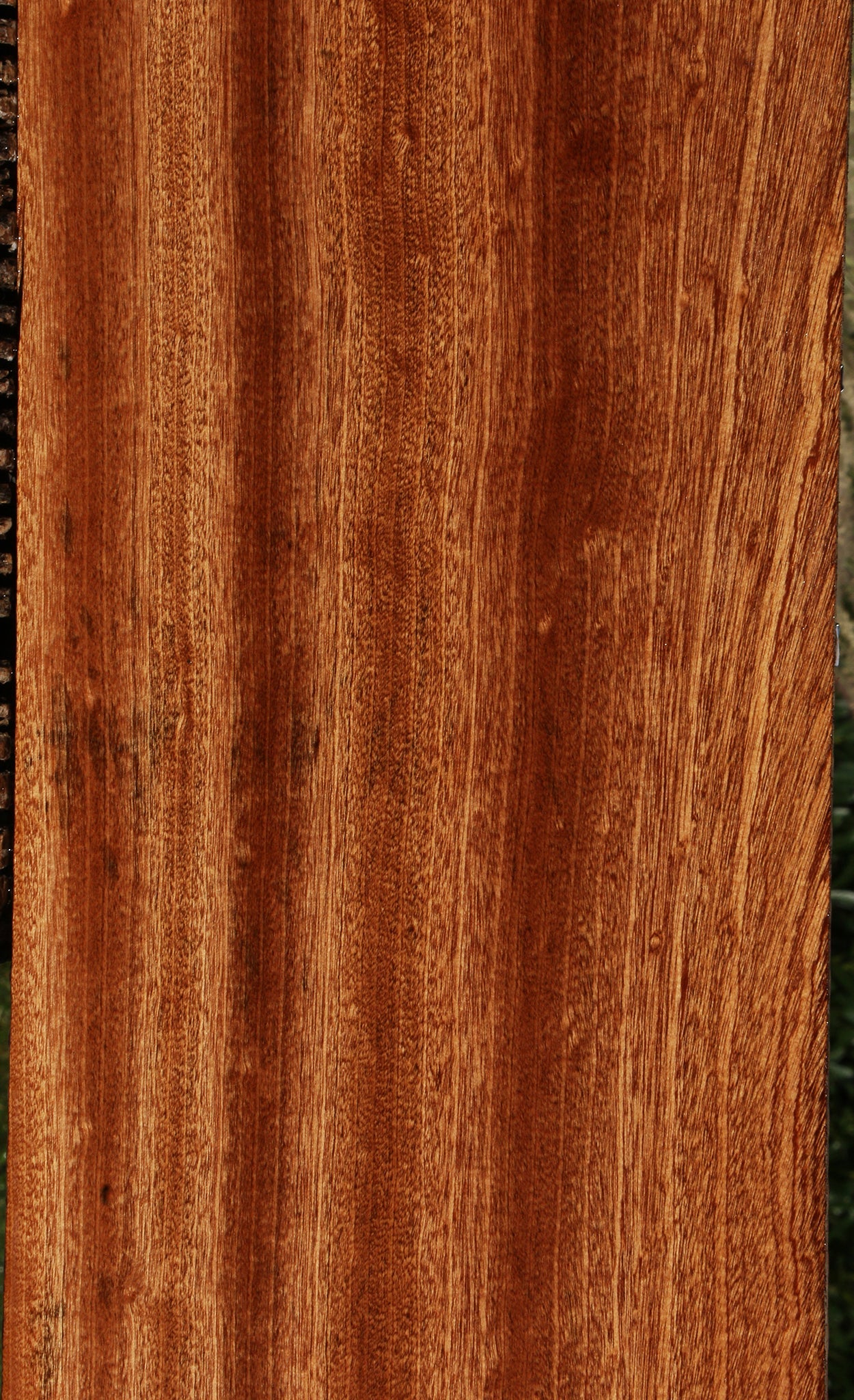 Ribbon Figured Sapele Lumber