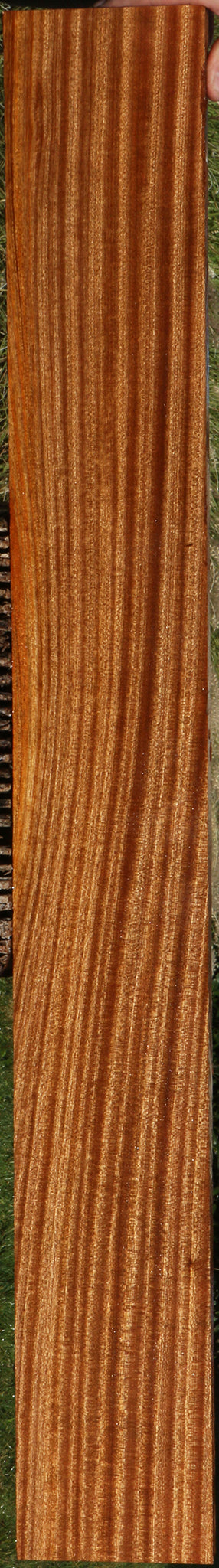 Ribbon Figured Sapele Lumber