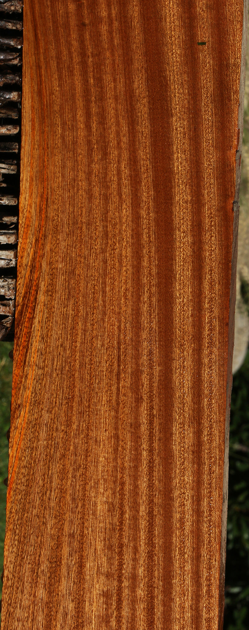 Ribbon Figured Sapele Lumber