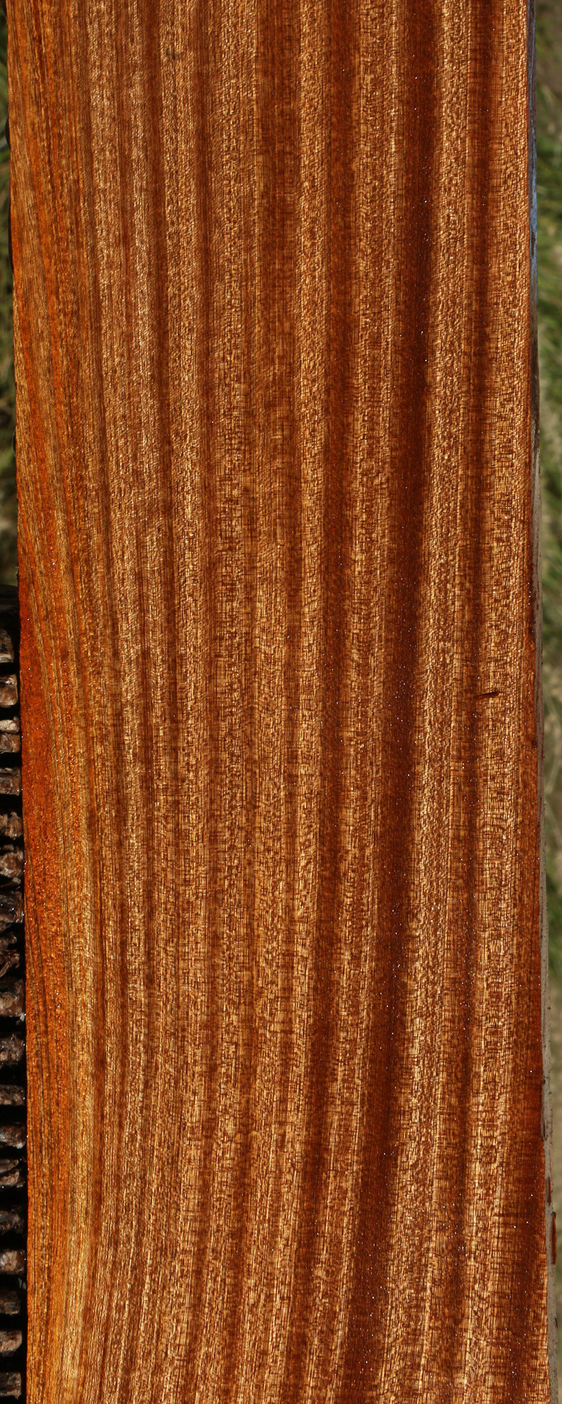 Ribbon Figured Sapele Lumber