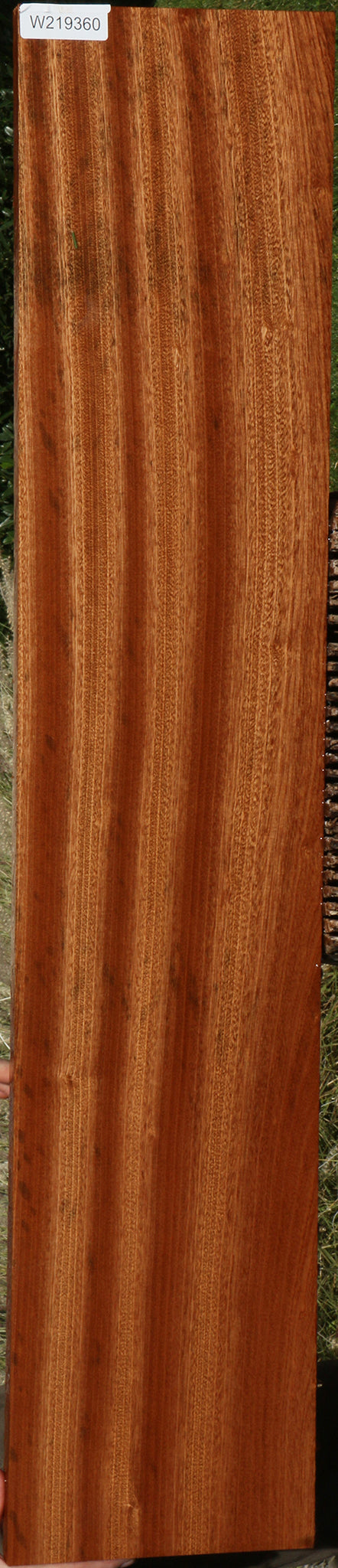 Ribbon Figured Sapele Lumber