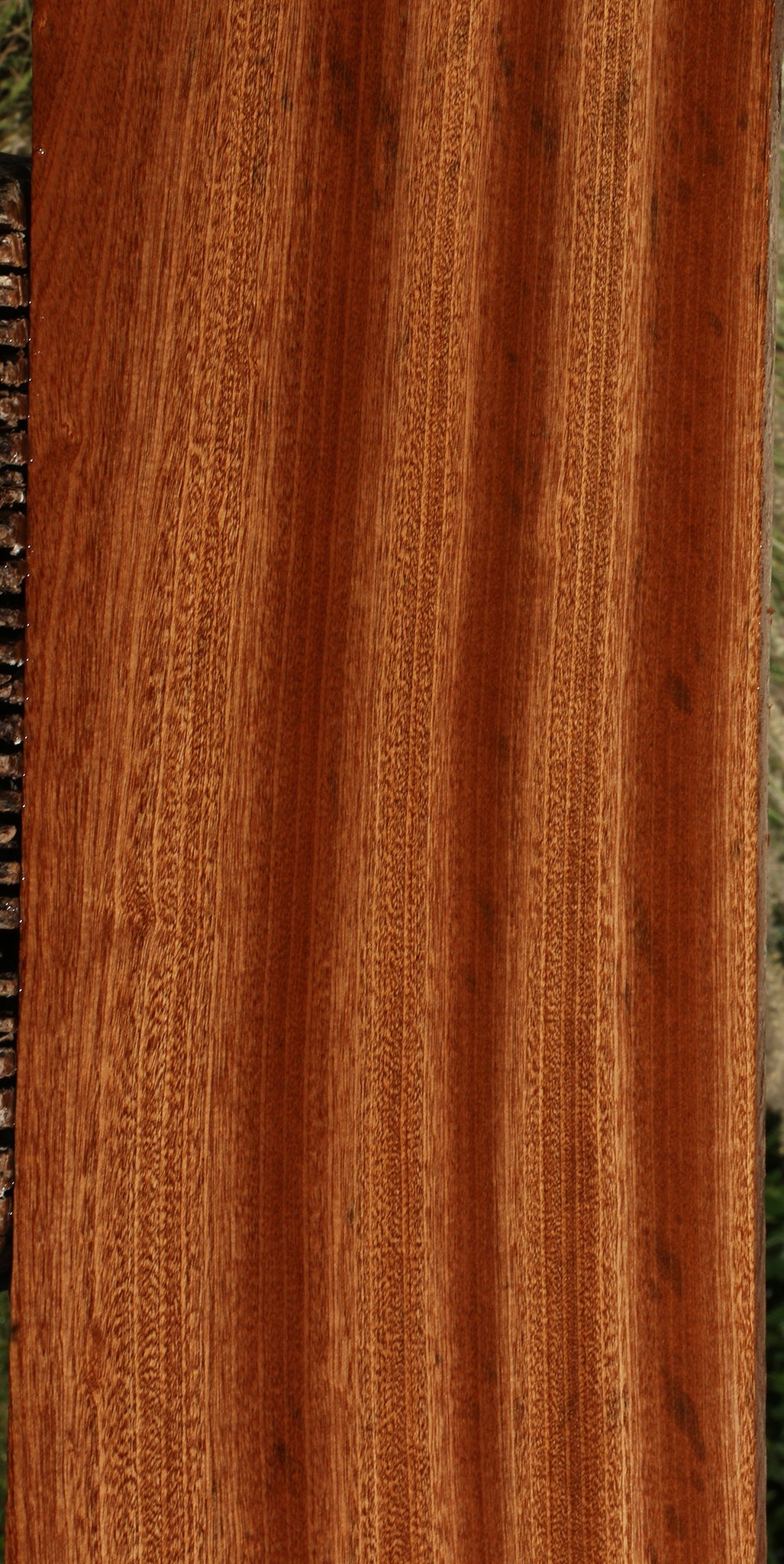 Ribbon Figured Sapele Lumber