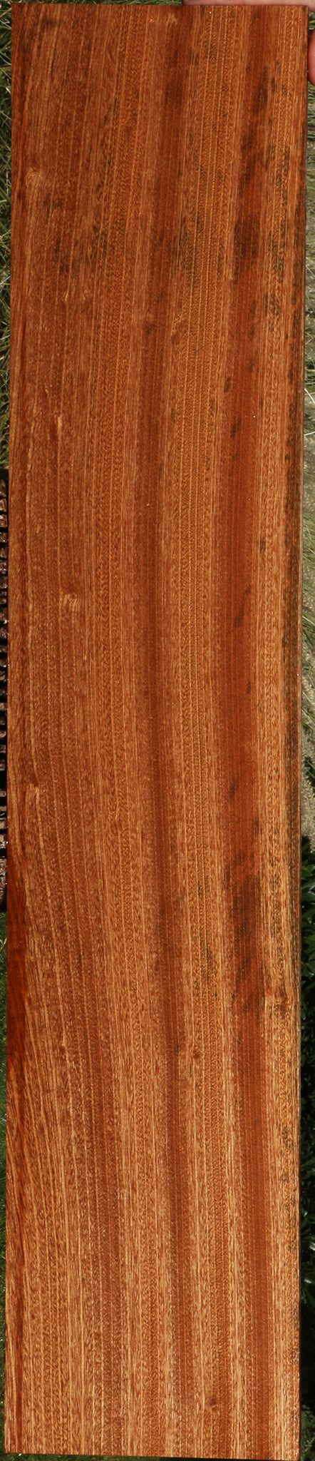 Ribbon Figured Sapele Lumber