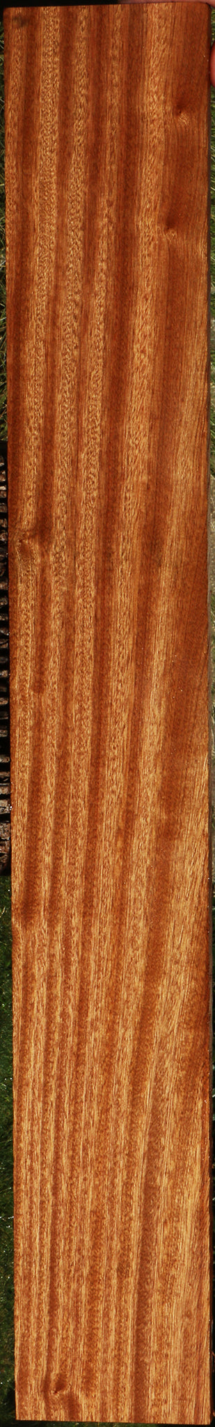 Ribbon Figured Sapele Lumber