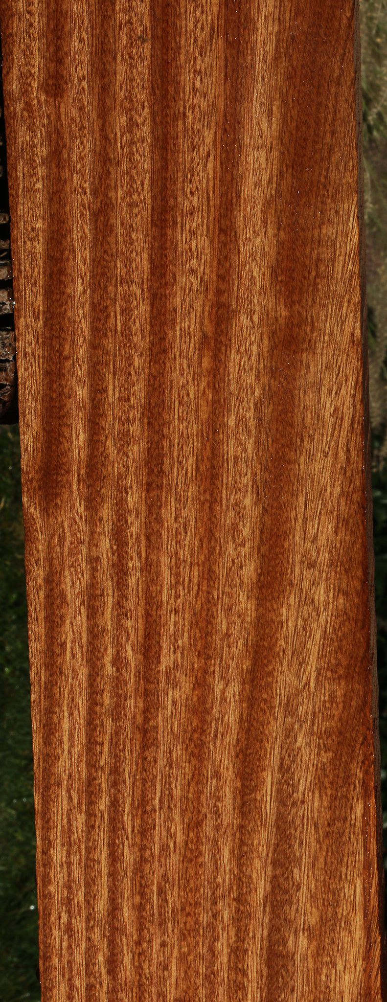 Ribbon Figured Sapele Lumber