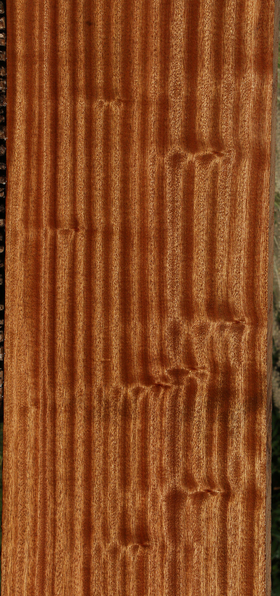 Ribbon Figured Sapele Lumber