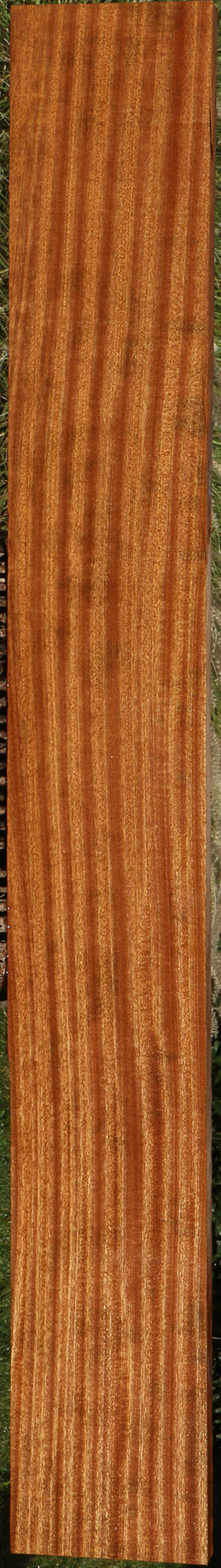 Ribbon Figured Sapele Lumber