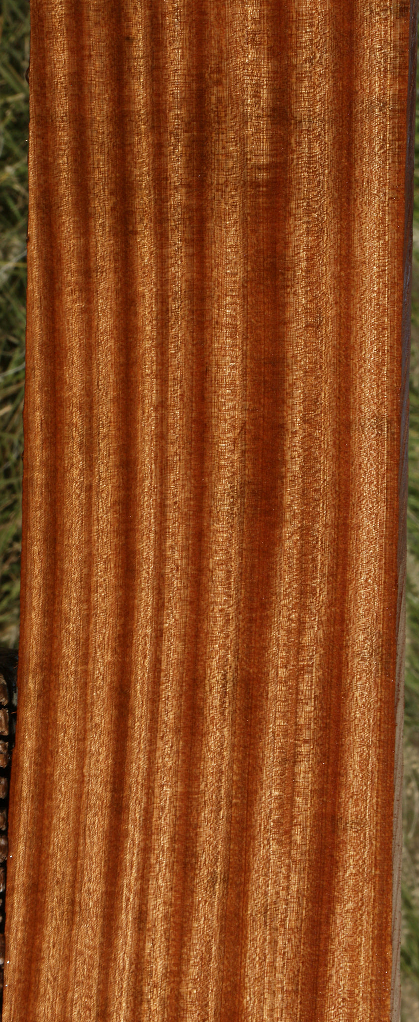 Ribbon Figured Sapele Lumber