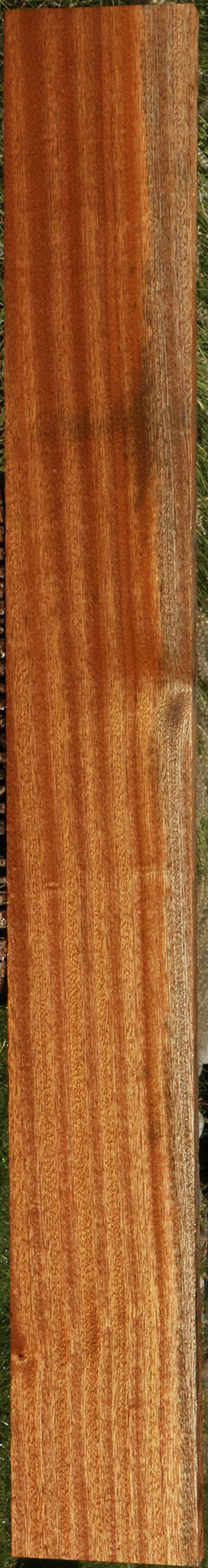 Ribbon Figured Sapele Lumber