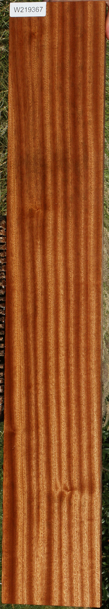 Ribbon Figured Sapele Lumber