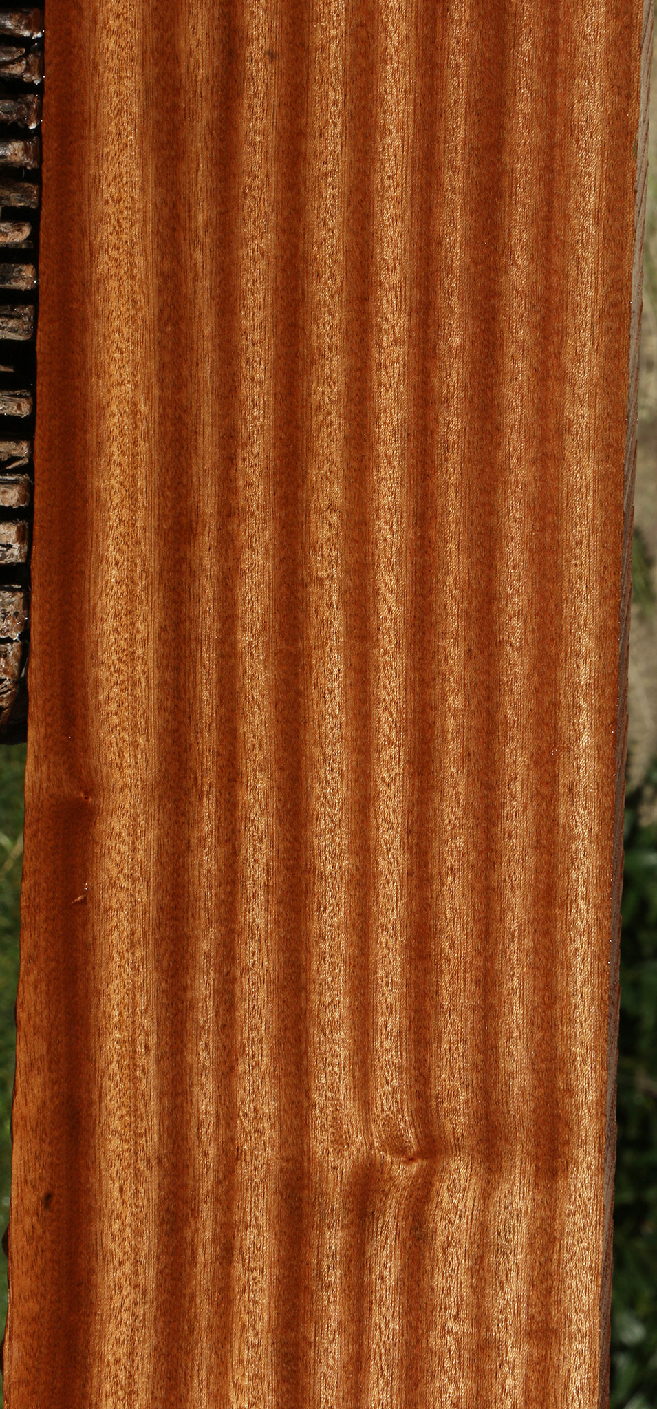 Ribbon Figured Sapele Lumber