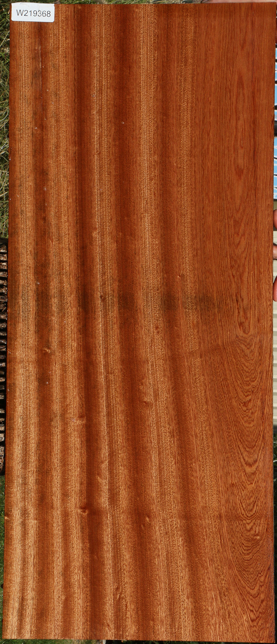 Ribbon Figured Sapele Lumber