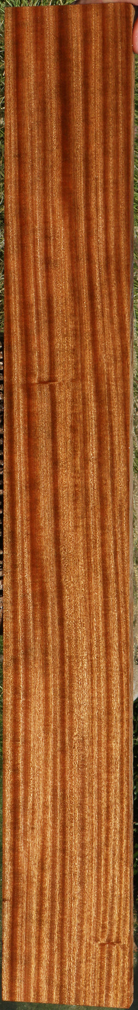 Ribbon Figured Sapele Lumber