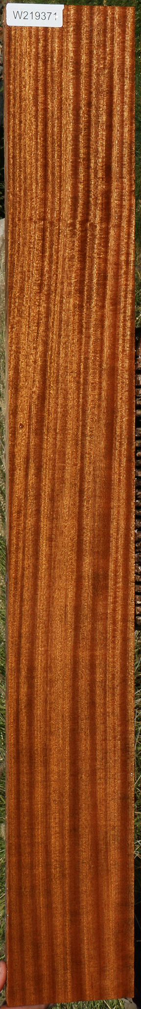 Ribbon Figured Sapele Lumber