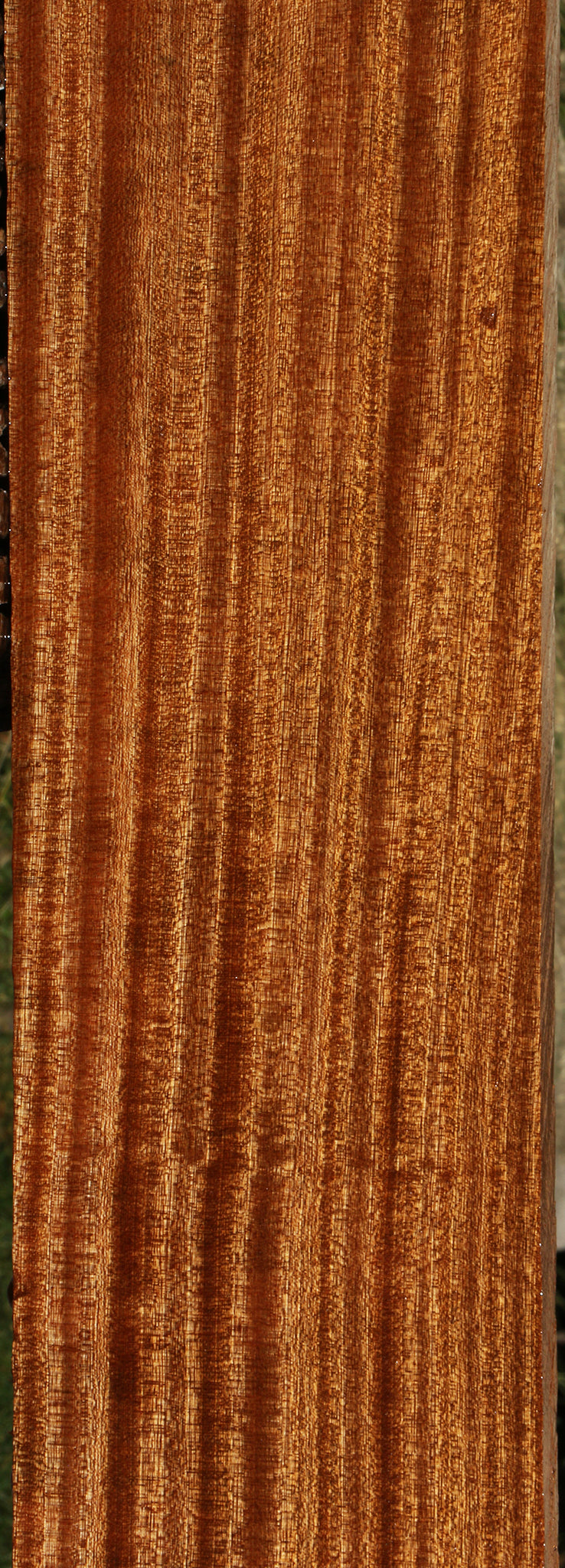 Ribbon Figured Sapele Lumber