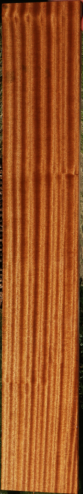 Ribbon Figured Sapele Lumber