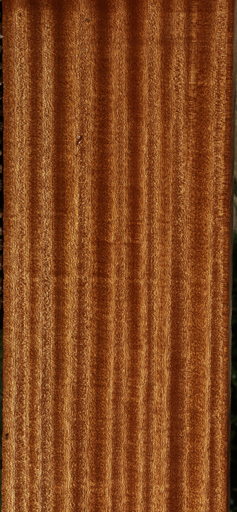 Ribbon Figured Sapele Lumber