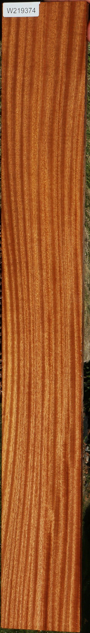 Ribbon Figured Sapele Lumber