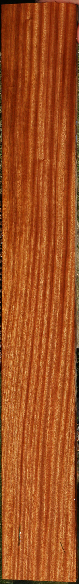 Ribbon Figured Sapele Lumber