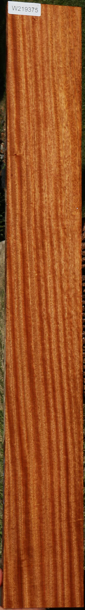 Ribbon Figured Sapele Lumber