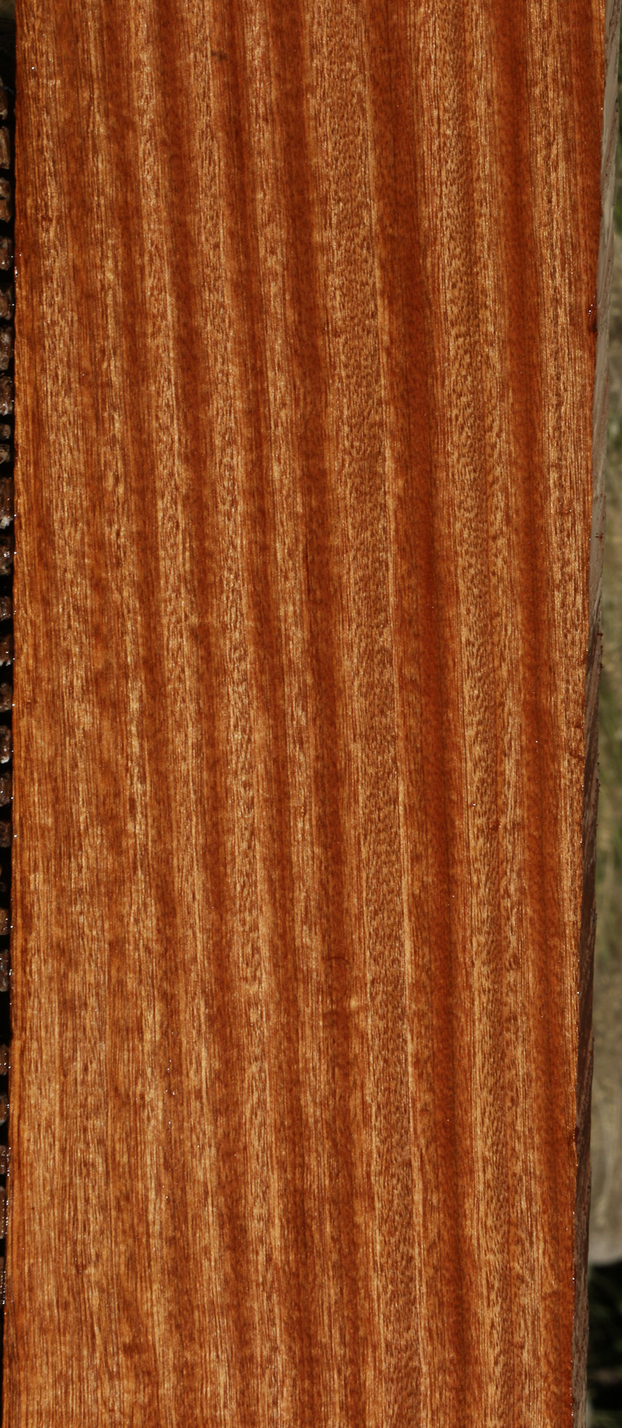 Ribbon Figured Sapele Lumber