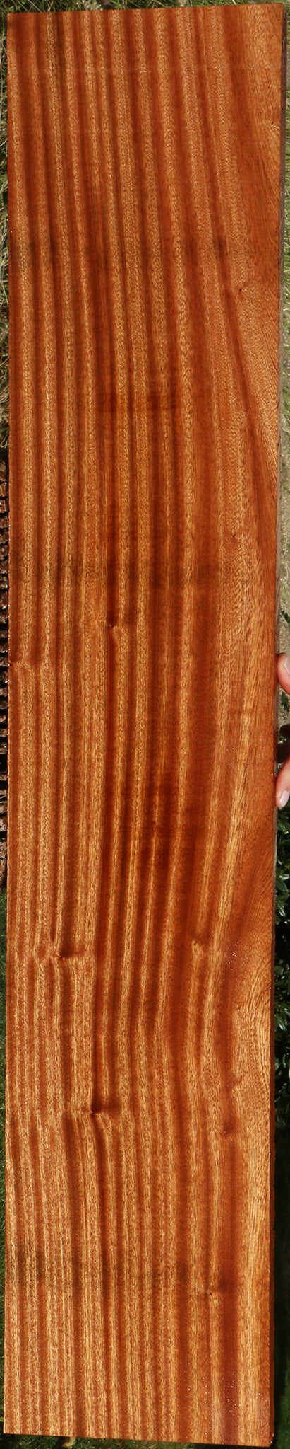 Ribbon Figured Sapele Lumber