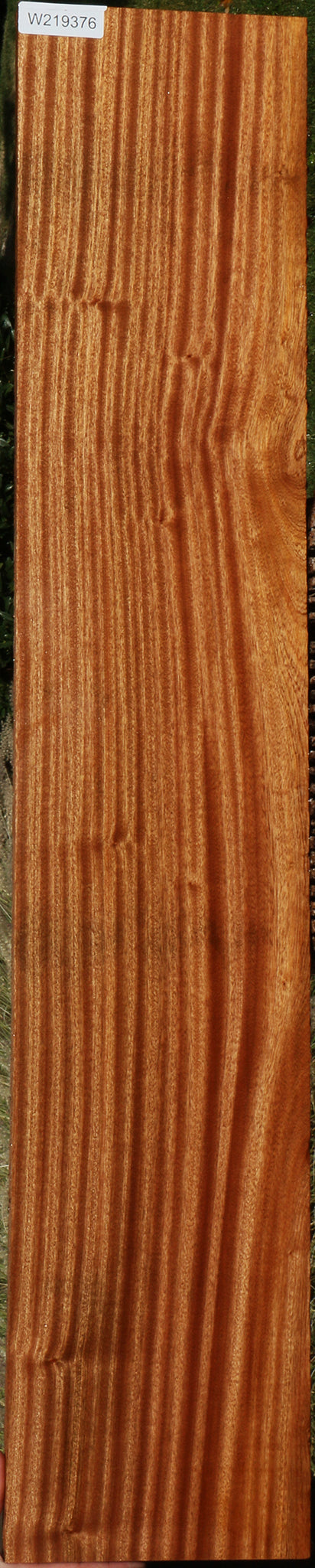 Ribbon Figured Sapele Lumber