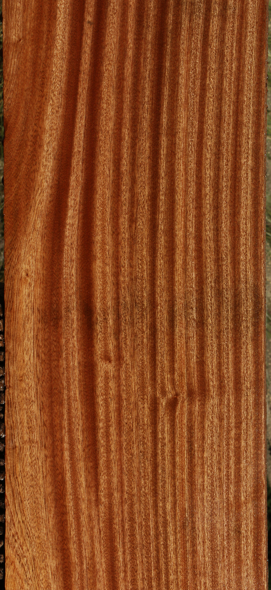 Ribbon Figured Sapele Lumber