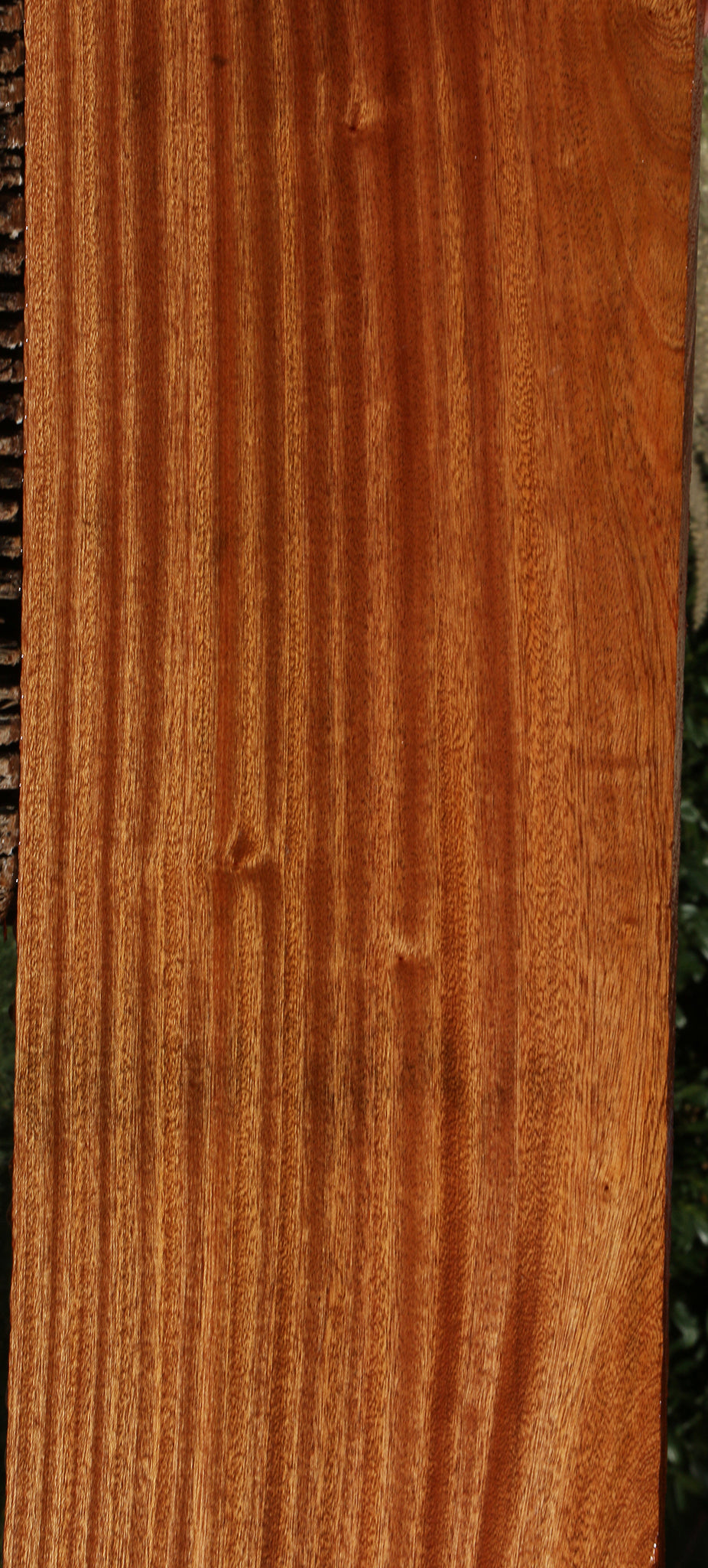 Ribbon Figured Sapele Lumber