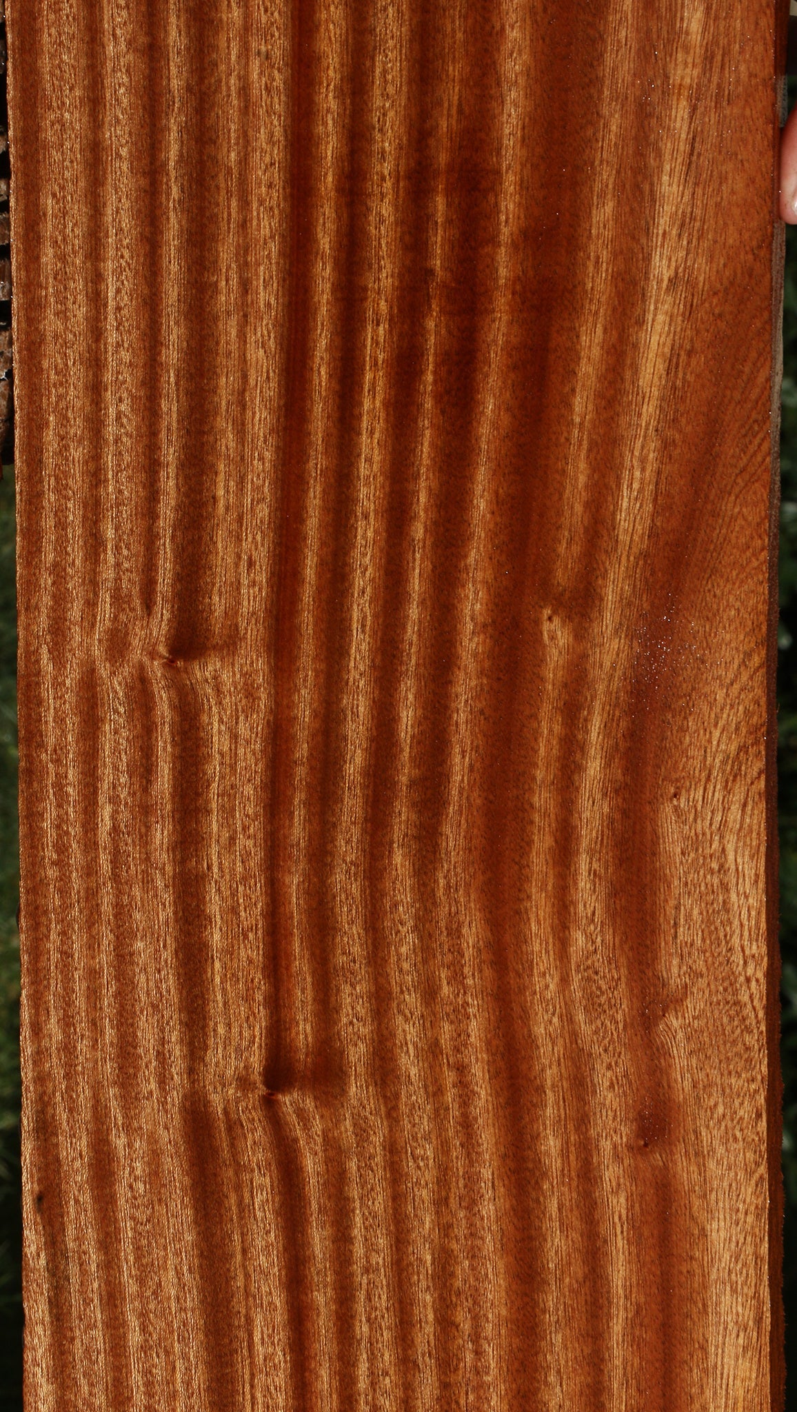 Ribbon Figured Sapele Lumber