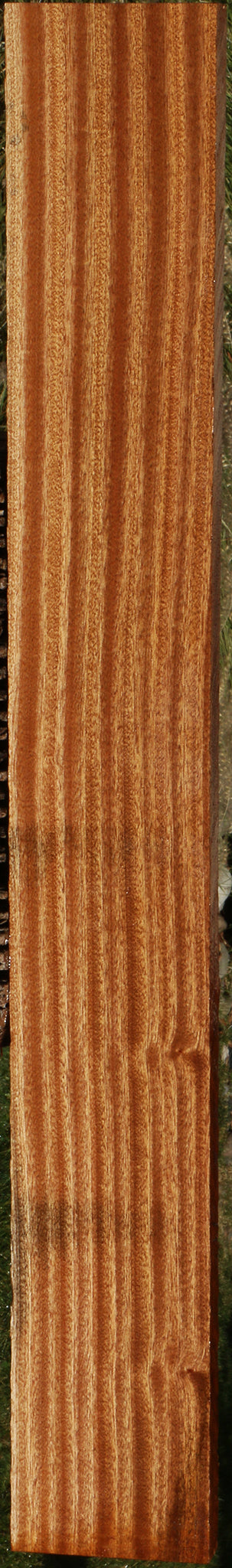 Ribbon Figured Sapele Lumber