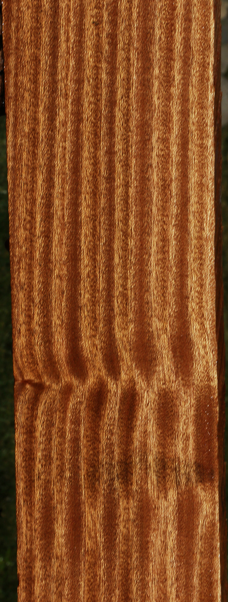 Ribbon Figured Sapele Lumber