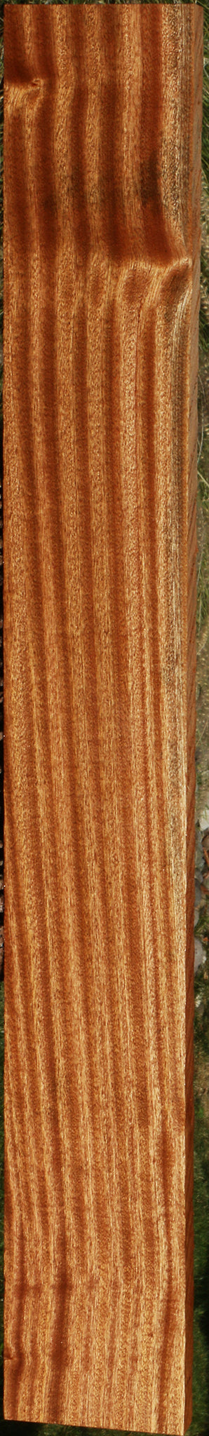 Ribbon Figured Sapele Lumber