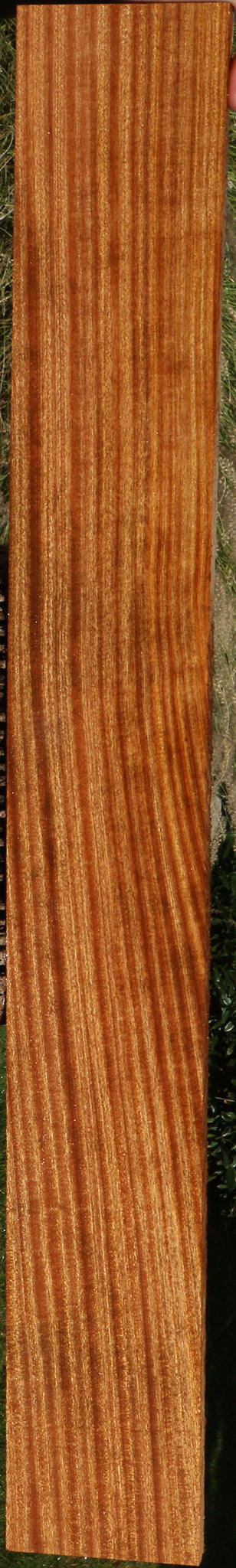 Ribbon Figured Sapele Lumber