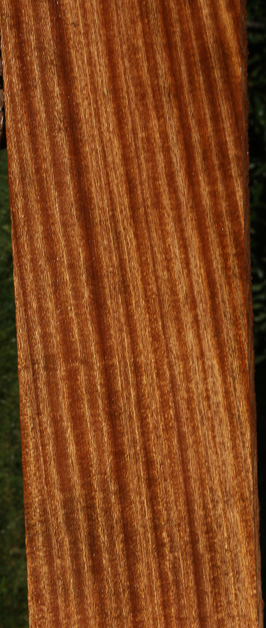 Ribbon Figured Sapele Lumber